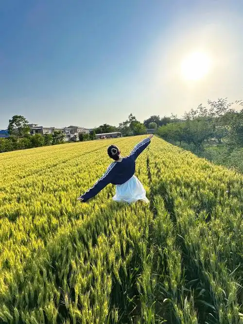 麦田真的好美好治愈