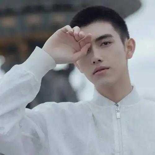 微信头像陈飞宇