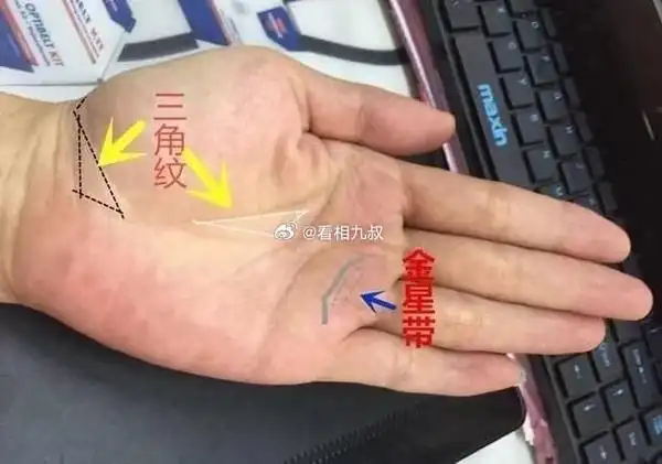 手掌中的金星带所代表的的运势含义手相学中的金星带,又称为月晕纹