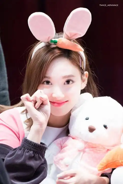 twice分享181001在月球上为了做偶像而来的兔子林娜琏jpggif