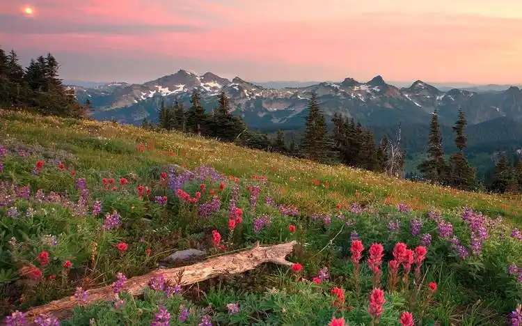班得瑞意境风景图集