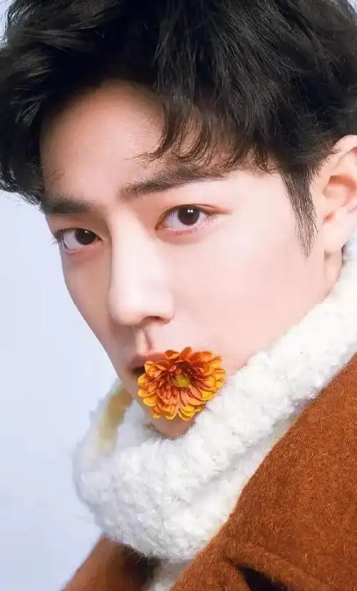 当红明星肖战写真:清新俊逸,气宇不凡!