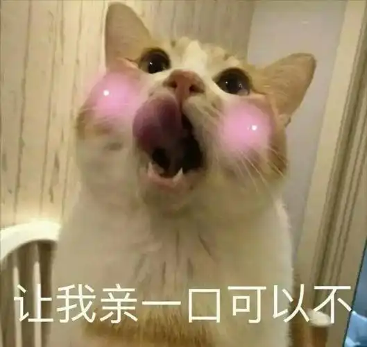 我亲一口可以不!