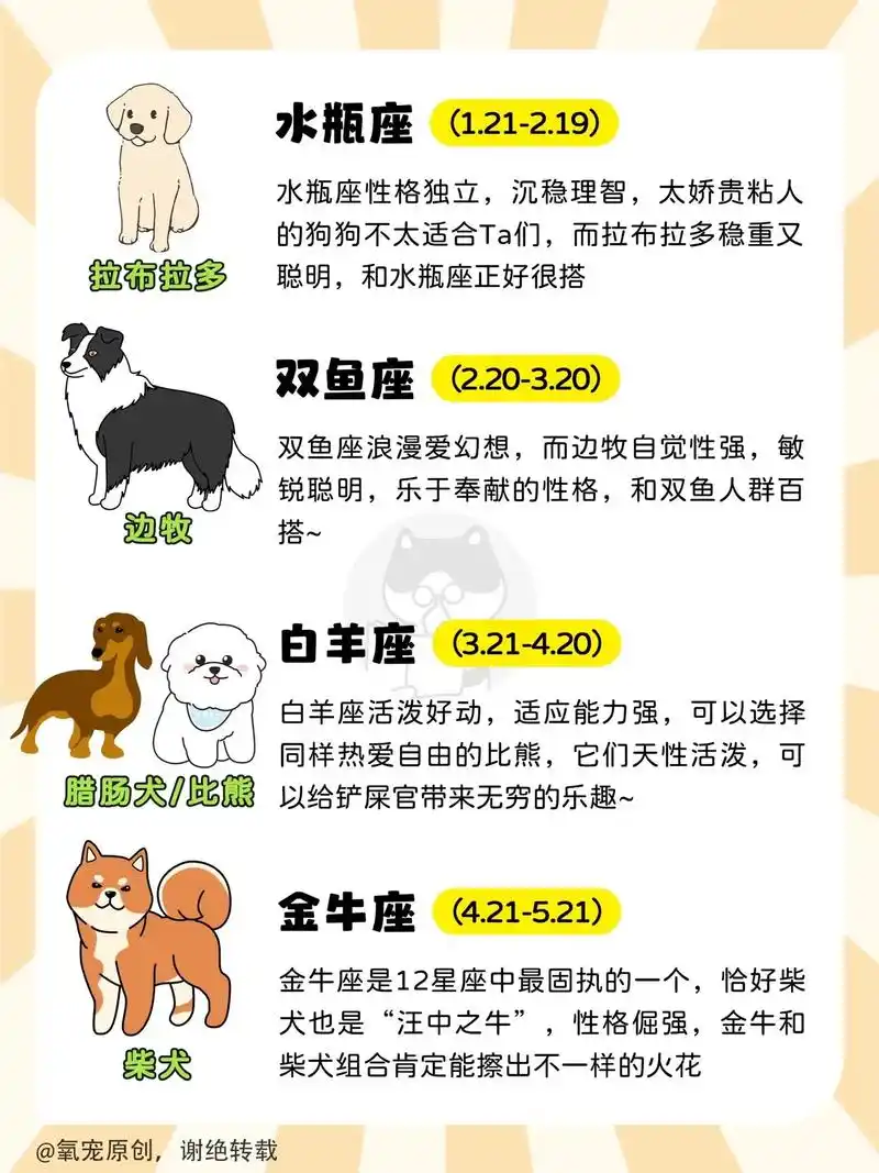 十二星座的专属狗狗?快来对号入座吧.~|||养狗就像交朋友, - 抖音