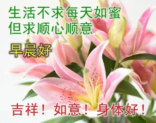早安祝福语,微信祝大家早上好带字图片 最漂亮群问候早上好图片
