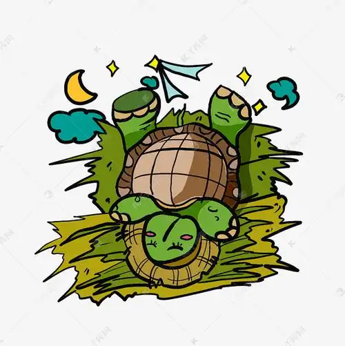 夜晚睡觉乌龟