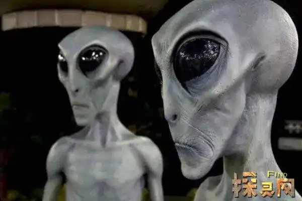 中国击落ufo外星人