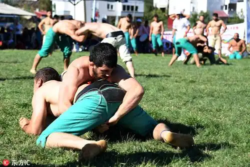 土耳其举行抹油摔跤大赛 肌肉男涂油相互抱摔