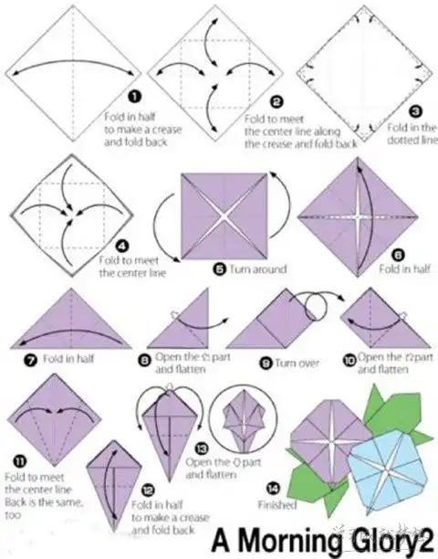 手工折纸牵牛花教程图解