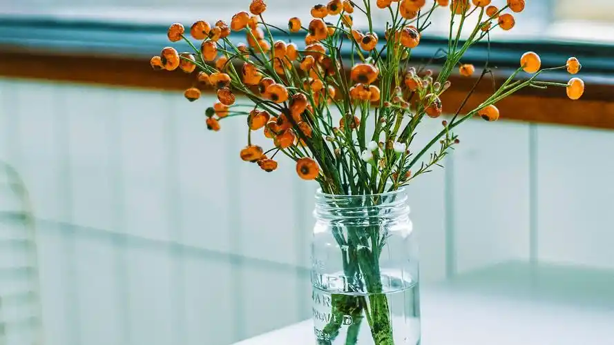 小清新精美花卉植物高清唯美桌面壁纸高清大图预览1920x1200_高清壁纸