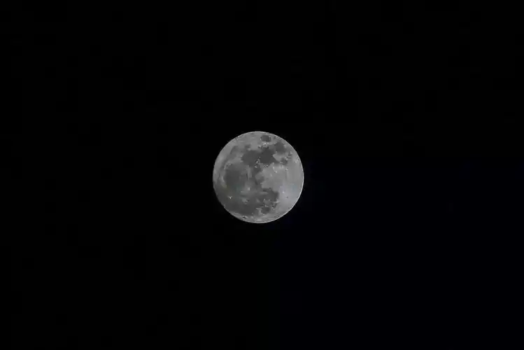 情侣头像 [一对] 清纯风 背影 黑色系 反感 重影 乖巧 [背景] 简洁 白