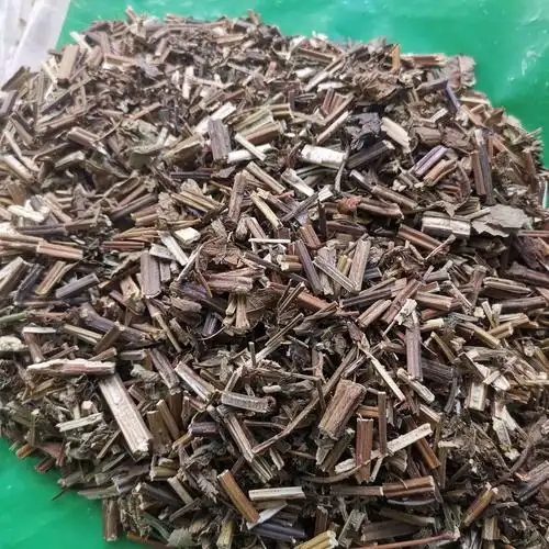 批发供应香茶菜细叶蛇总管杯苋蛇总管山薄荷