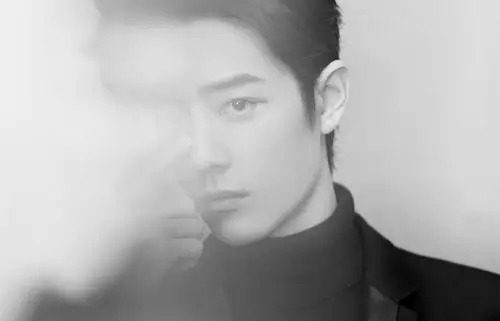 最新帅气肖战个性壁纸_超帅气的肖战