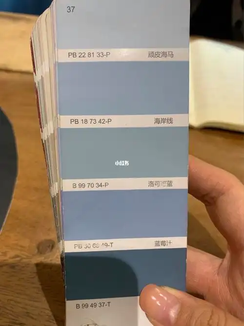 像太空漫步,脏粉,银币,奶咖…,可是装修公司标配的嘉宝莉漆,还好色卡