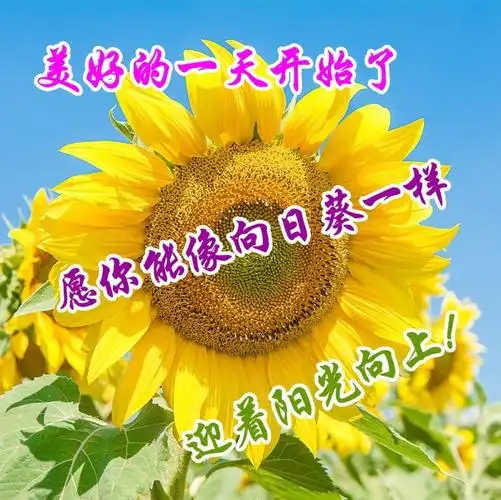 祝好运贺词祝福语1