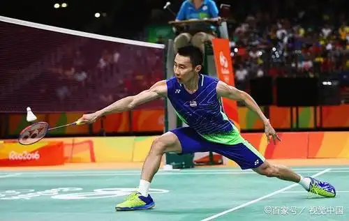 图一,李宗伟反手搓球