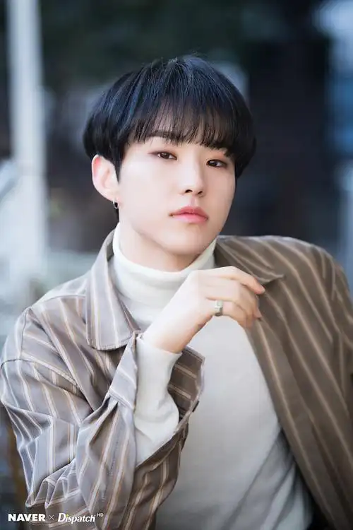 [seventeen][新闻]190118 "冬日清新小暖男"迷你六辑事前宣传照大公开