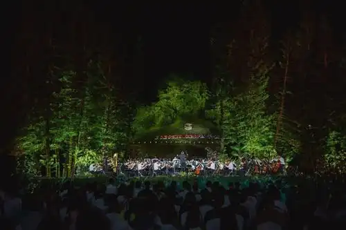 森林中的春天故事2020深圳森林音乐会今夜奏响