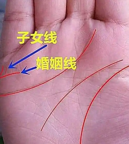 算命我一生有几个孩子