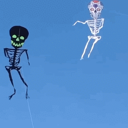 看,天上飞的啥?_风筝