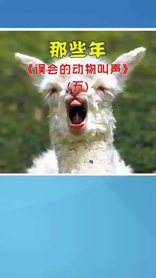 快来看看这么多动物,都是什么样的叫声吧.