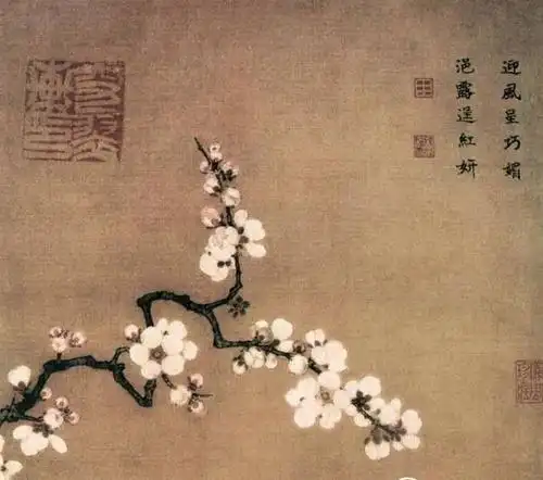 杏花春雨在江南,碧寥香风万点娇