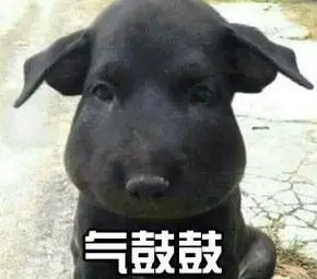 气鼓鼓气鼓鼓气鼓鼓汪星人气鼓鼓表情