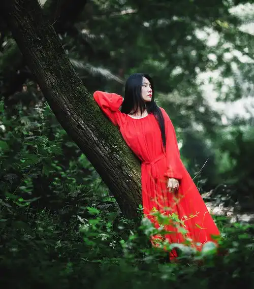 在林间行走的是灵魂深处的寂寞