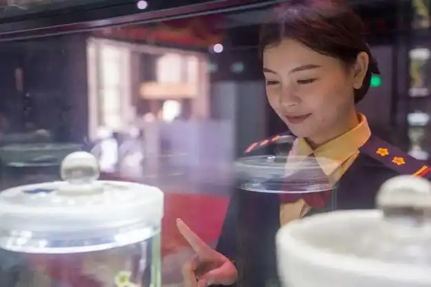 走进神秘中药水晶宫感受中医药文化的浪漫互动有礼