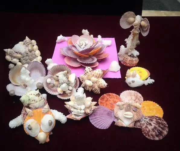 海洋学社贝壳diy