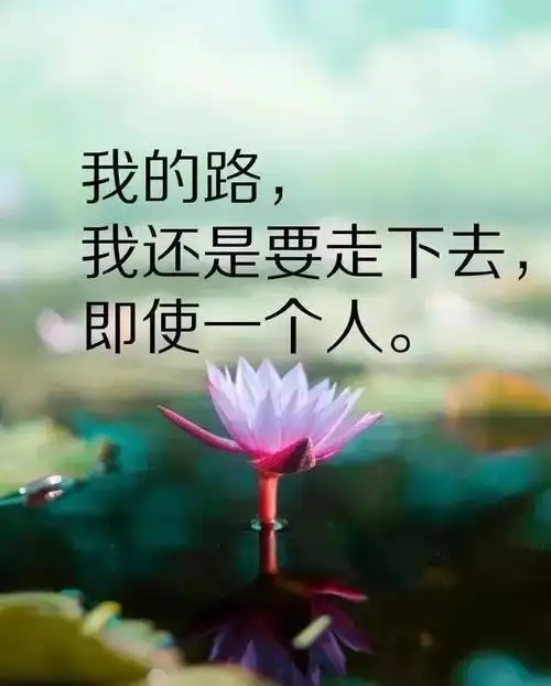 抖音最火的心情说说句句深入人心超喜欢