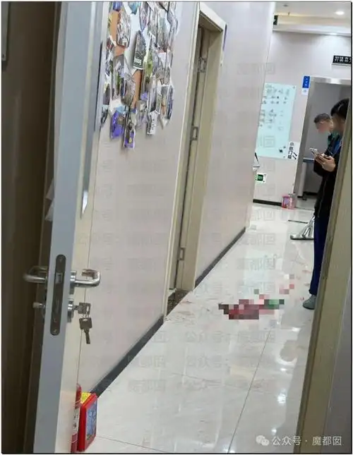 吓哭画面惨烈超美女生陪宠物治病被高压舱门爆弹砸碎头颅