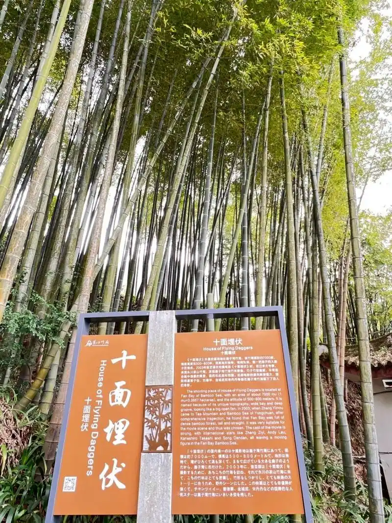 永川行-茶山竹海(十面埋伏取景地) 永川茶山竹海,原名箕山,为诸葛孔明