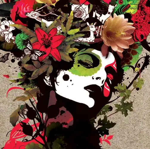 这种专辑封面属于什么类型的? 在哪里可以找到更多这种图 ?