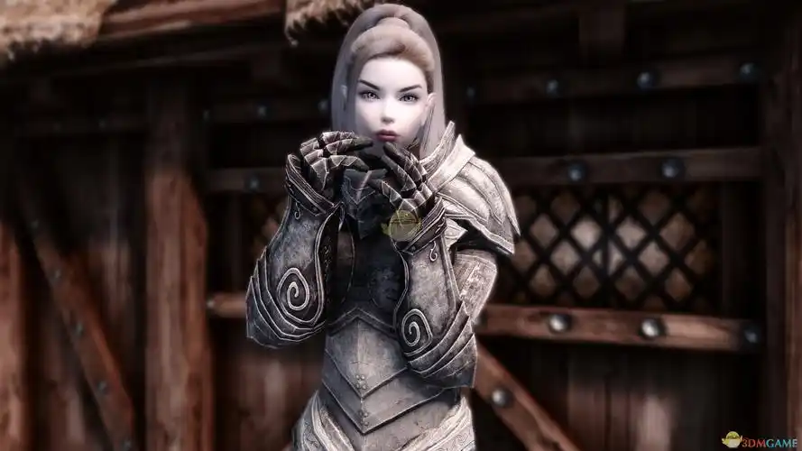 上古卷轴5天际重置版绝美雪精灵随从mod