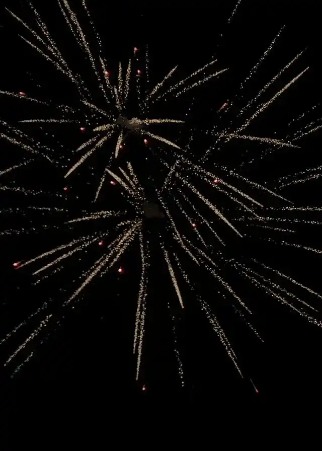 新年烟花背景图|化作烟火,为你坠落