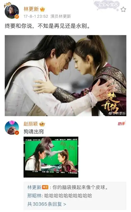 赵丽颖林更新早期微博互动