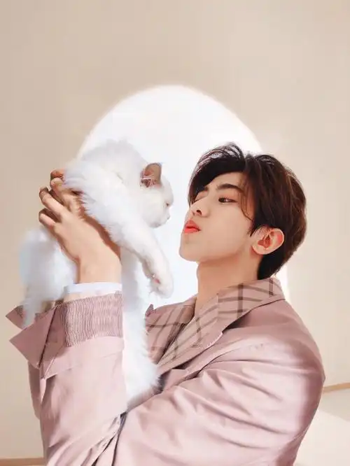 蔡徐坤好帅,神仙颜