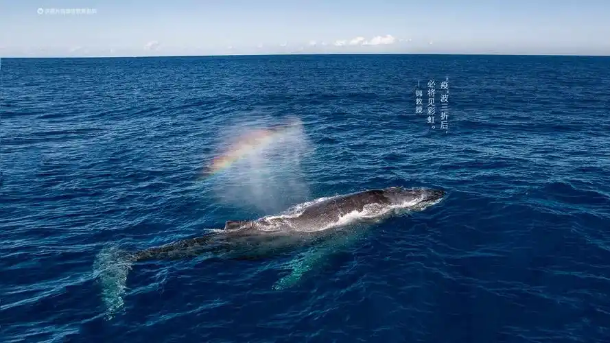 联想锁屏#今日高清壁纸#"疫"波三折后,必将见彩虹_联想锁屏-联想社区