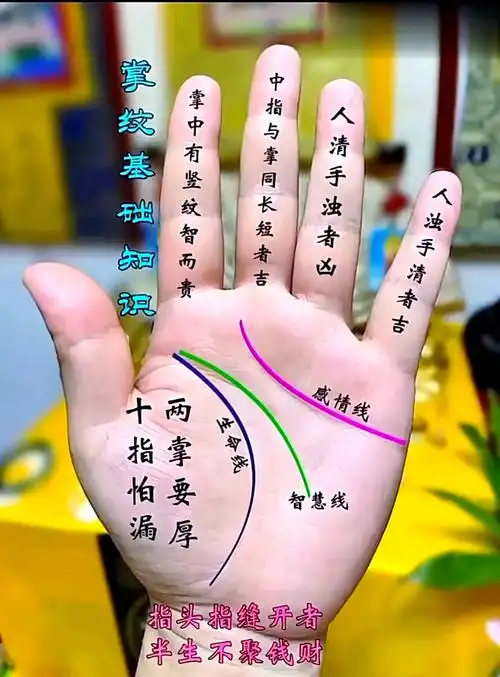 🤲 手指相学:揭秘你的性格与命运 🔮