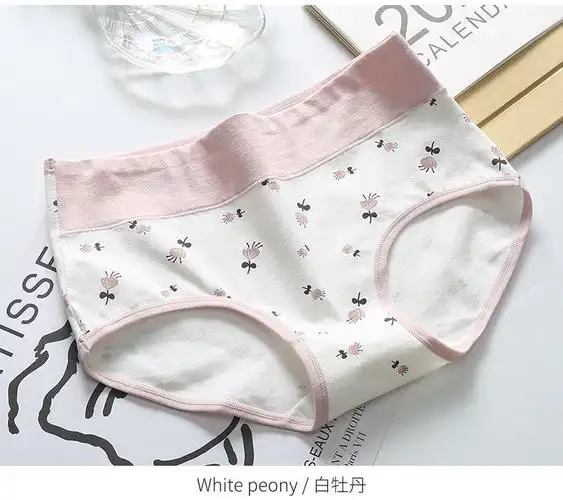 少女生小女孩内裤女大童10-15岁初中生高中生中学生小学生13岁发育期