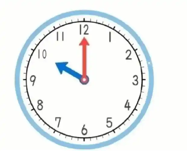 大班数学认识整点