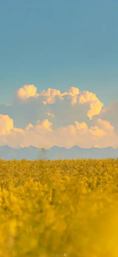 #新年好运指南##壁纸##2024好运锦鲤壁纸##龙年大吉##