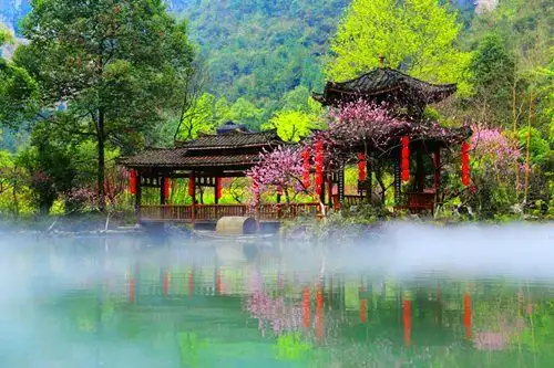 酉阳桃花源景区"暂停开放"原因竟是.