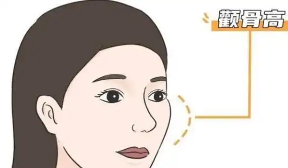 女人身上有龙气的特征 ,必成大器的女人面相图片大全图7