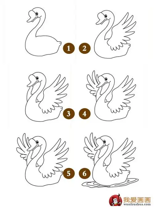 简笔画天鹅教程:天鹅的简笔画画法步骤