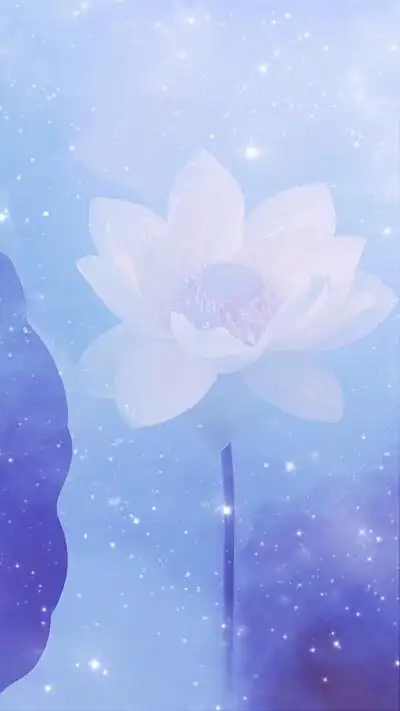 鲜花 插花 捧花 花艺 清新 摄影 绿植 淡雅 自然 壁纸 锁屏 屏保 高清