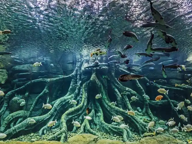 波塞冬海底世界