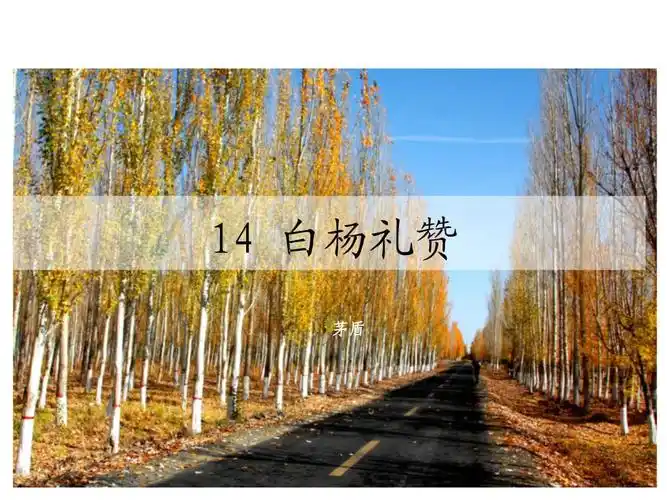 人教部编版语文八年级上册同步新课课件-15 白杨礼赞.ppt 27页