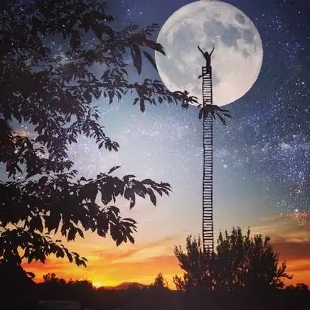 童话般的森林风景唯美梦幻意境图片分享!